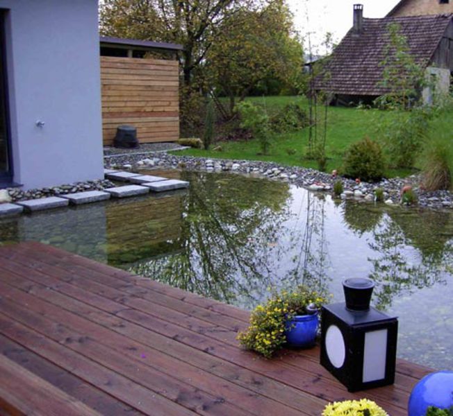 Teiche zum Schwimmen Teiche für Ihre Kois Teiche zum Anschauen und