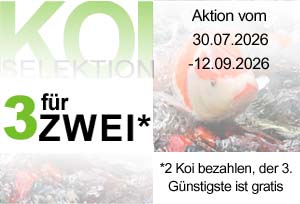 Aktion